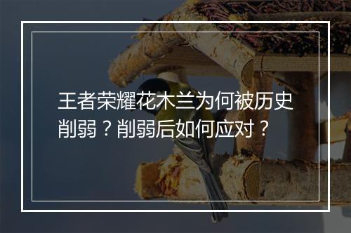 王者荣耀花木兰为何被历史削弱？削弱后如何应对？