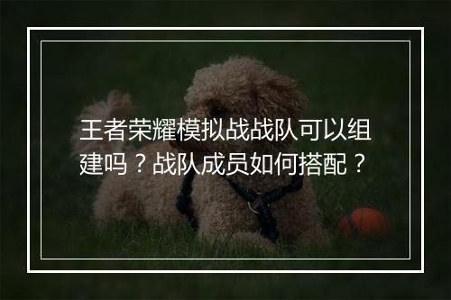 王者荣耀模拟战战队可以组建吗？战队成员如何搭配？