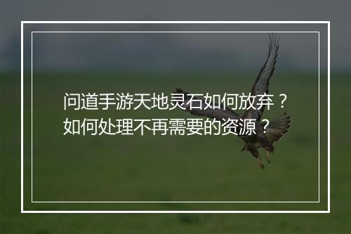 问道手游天地灵石如何放弃？如何处理不再需要的资源？