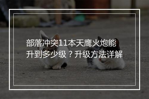 部落冲突11本天鹰火炮能升到多少级？升级方法详解