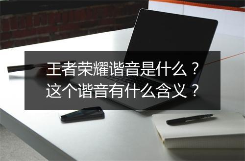 王者荣耀谐音是什么？这个谐音有什么含义？