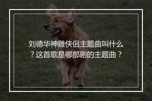 刘德华神雕侠侣主题曲叫什么？这首歌是哪部剧的主题曲？