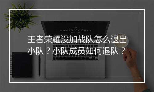 王者荣耀没加战队怎么退出小队？小队成员如何退队？