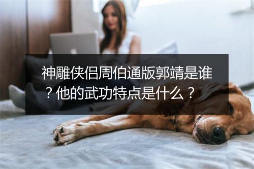 神雕侠侣周伯通版郭靖是谁？他的武功特点是什么？