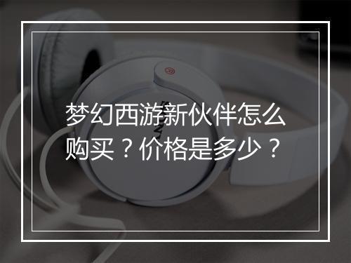 梦幻西游新伙伴怎么购买？价格是多少？