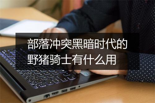 部落冲突黑暗时代的野猪骑士有什么用