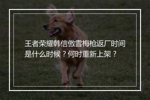 王者荣耀韩信傲雪梅枪返厂时间是什么时候？何时重新上架？