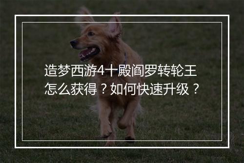 造梦西游4十殿阎罗转轮王怎么获得？如何快速升级？
