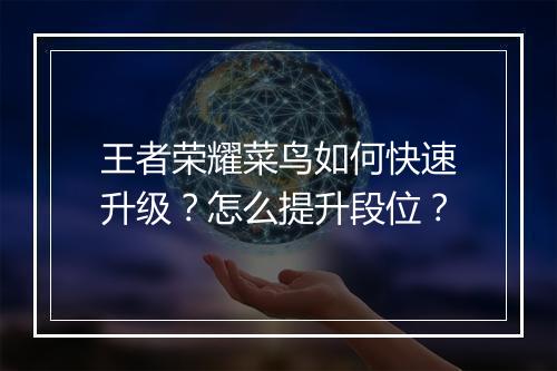 王者荣耀菜鸟如何快速升级？怎么提升段位？