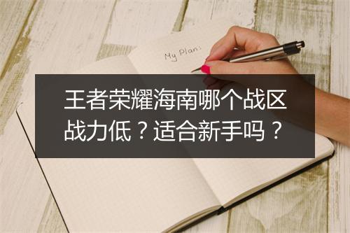 王者荣耀海南哪个战区战力低？适合新手吗？