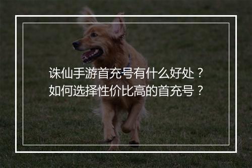 诛仙手游首充号有什么好处?如何选择性价比高的首充号?