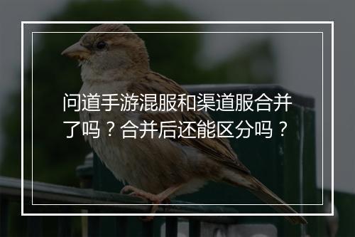 问道手游混服和渠道服合并了吗？合并后还能区分吗？