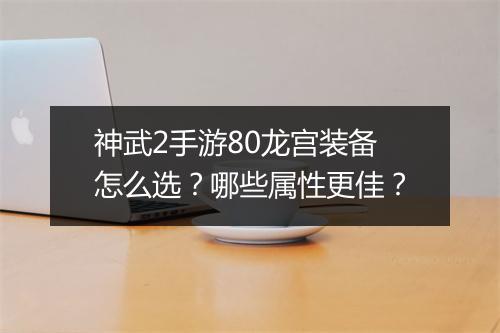 神武2手游80龙宫装备怎么选？哪些属性更佳？