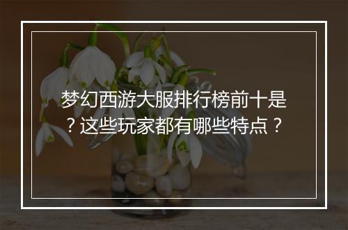 梦幻西游大服排行榜前十是？这些玩家都有哪些特点？