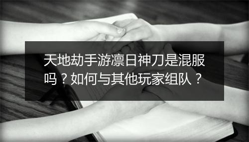天地劫手游凛日神刀是混服吗？如何与其他玩家组队？