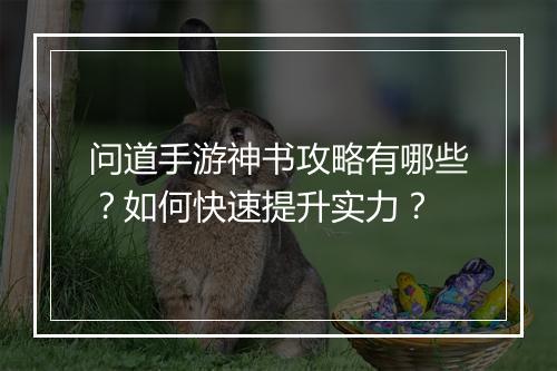 问道手游神书攻略有哪些？如何快速提升实力？