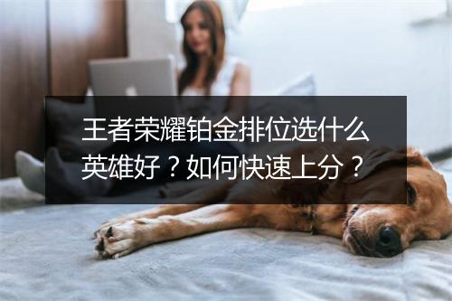 王者荣耀铂金排位选什么英雄好？如何快速上分？