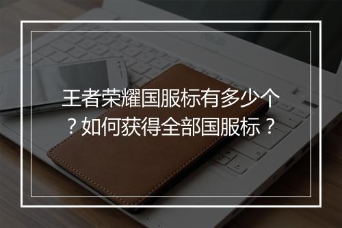 王者荣耀国服标有多少个？如何获得全部国服标？