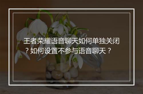 王者荣耀语音聊天如何单独关闭？如何设置不参与语音聊天？