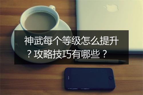 神武每个等级怎么提升？攻略技巧有哪些？