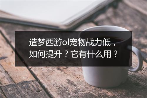 造梦西游ol宠物战力低，如何提升？它有什么用？
