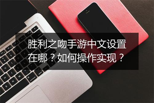 胜利之吻手游中文设置在哪？如何操作实现？