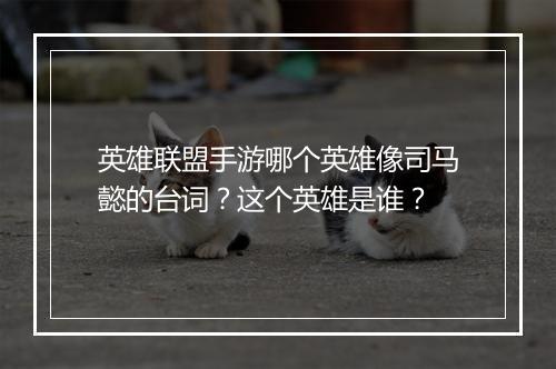 英雄联盟手游哪个英雄像司马懿的台词？这个英雄是谁？
