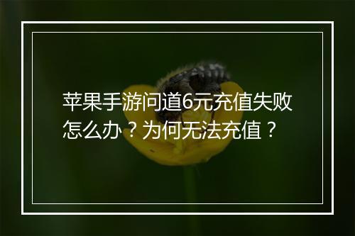 苹果手游问道6元充值失败怎么办?为何无法充值?