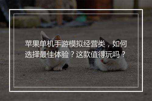 苹果单机手游模拟经营类，如何选择最佳体验？这款值得玩吗？