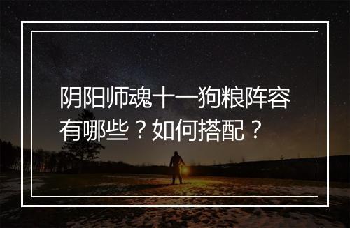 阴阳师魂十一狗粮阵容有哪些?如何搭配?