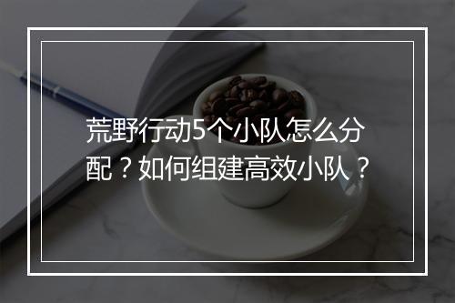 荒野行动5个小队怎么分配？如何组建高效小队？