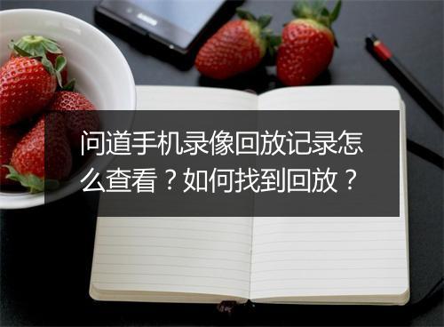 问道手机录像回放记录怎么查看？如何找到回放？
