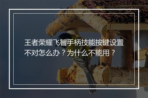 王者荣耀飞智手柄技能按键设置不对怎么办?为什么不能用?