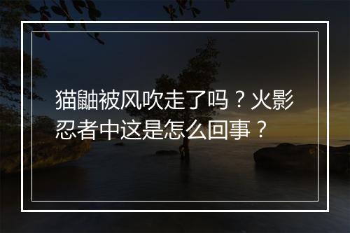 猫鼬被风吹走了吗？火影忍者中这是怎么回事？