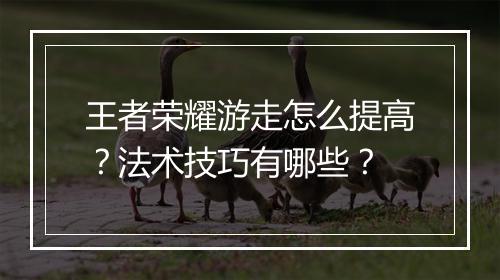 王者荣耀游走怎么提高？法术技巧有哪些？