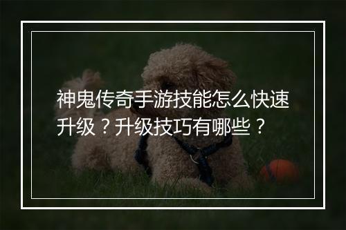 神鬼传奇手游技能怎么快速升级？升级技巧有哪些？