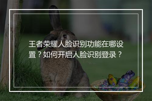 王者荣耀人脸识别功能在哪设置？如何开启人脸识别登录？