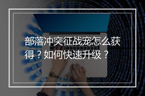 部落冲突征战宠怎么获得？如何快速升级？