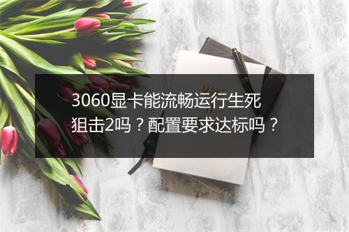 3060显卡能流畅运行生死狙击2吗？配置要求达标吗？