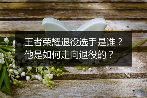 王者荣耀退役选手是谁？他是如何走向退役的？
