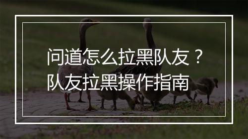 问道怎么拉黑队友?队友拉黑操作指南
