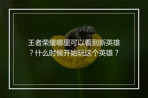 王者荣耀哪里可以看到新英雄？什么时候开始玩这个英雄？