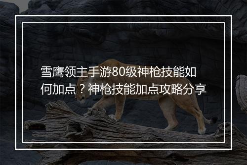 雪鹰领主手游80级神枪技能如何加点？神枪技能加点攻略分享