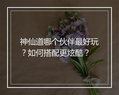 神仙道哪个伙伴最好玩？如何搭配更炫酷？