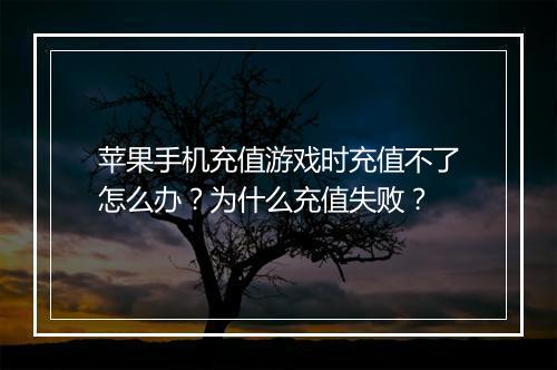 苹果手机充值游戏时充值不了怎么办？为什么充值失败？