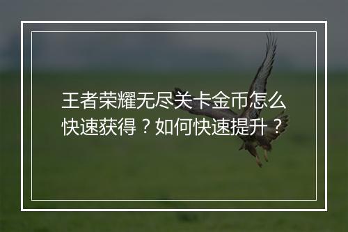 王者荣耀无尽关卡金币怎么快速获得？如何快速提升？