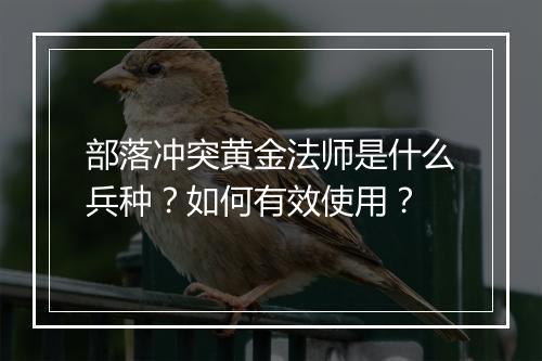 部落冲突黄金法师是什么兵种？如何有效使用？