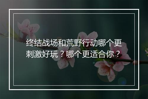 终结战场和荒野行动哪个更刺激好玩？哪个更适合你？