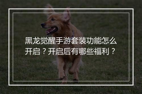 黑龙觉醒手游套装功能怎么开启?开启后有哪些福利?