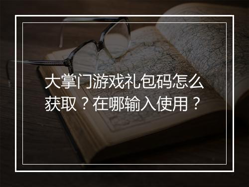 大掌门游戏礼包码怎么获取？在哪输入使用？